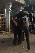 inde20060201001