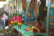 inde20060203007