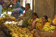 inde20060203011