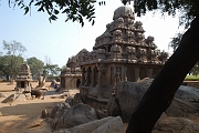 inde20060204005