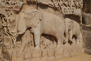 inde20060204012