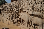 inde20060204014
