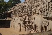 inde20060204015