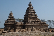 inde20060204019