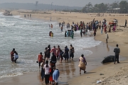 inde20060204021