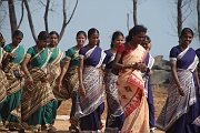inde20060204023