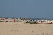 inde20060204028