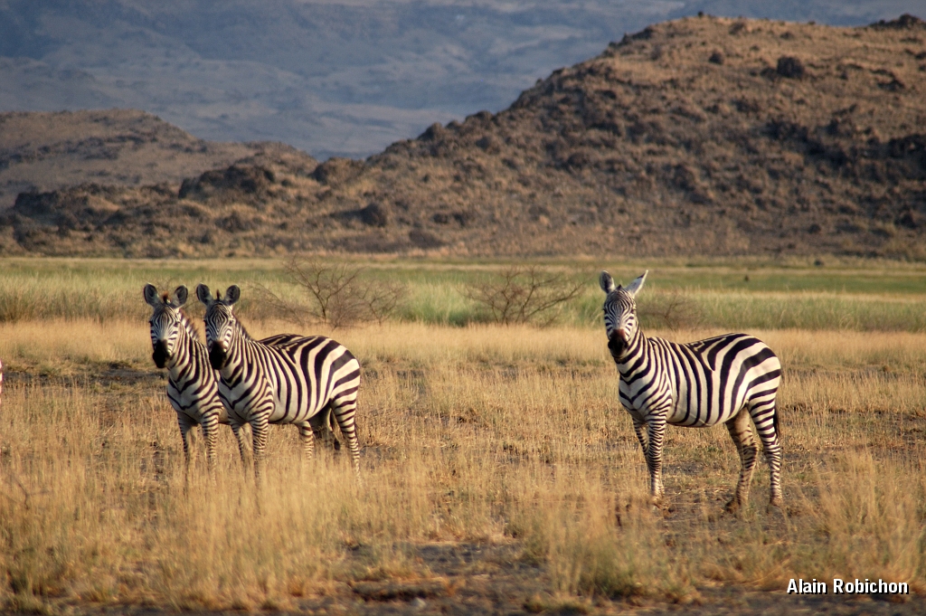 Tanzanie0033EPV0051.jpg