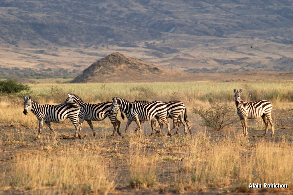 Tanzanie0035EPV0053.jpg