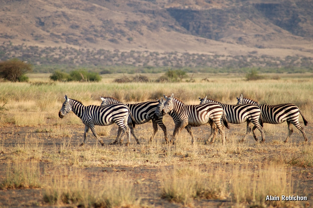 Tanzanie0036EPV0054.jpg