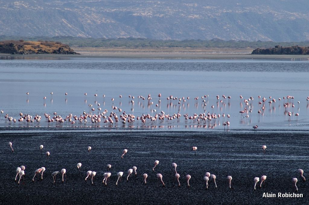 Tanzanie0041EPV0059.jpg