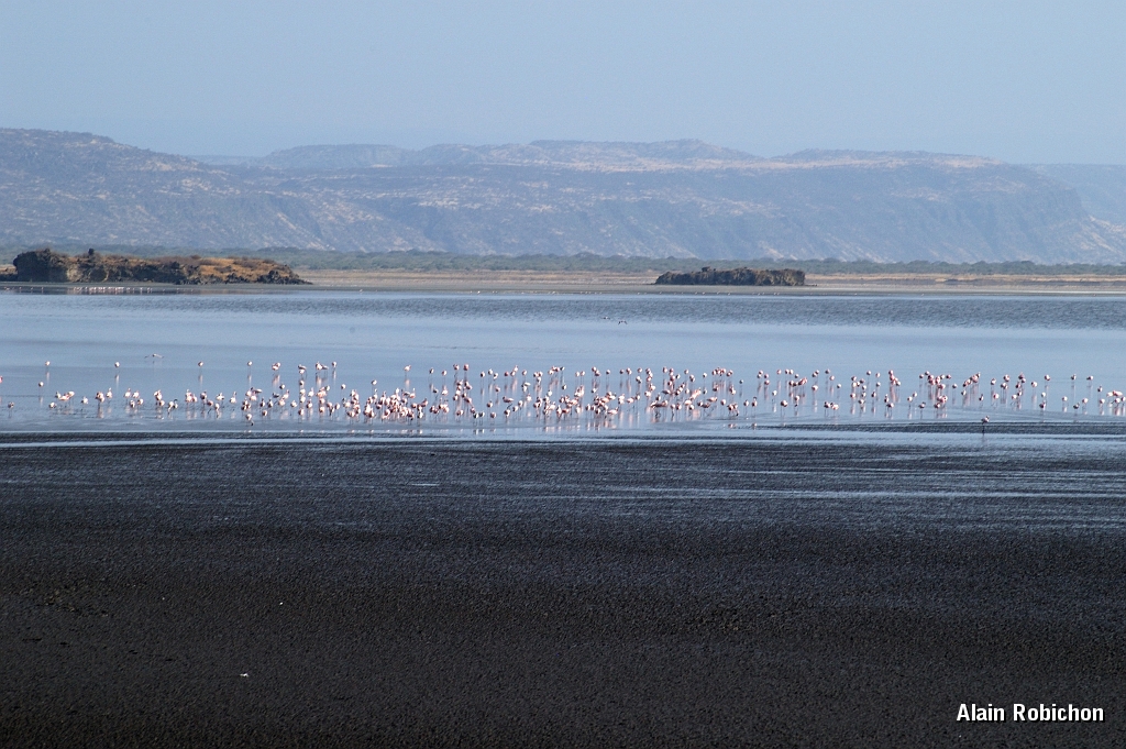 Tanzanie0045EPV0063.jpg