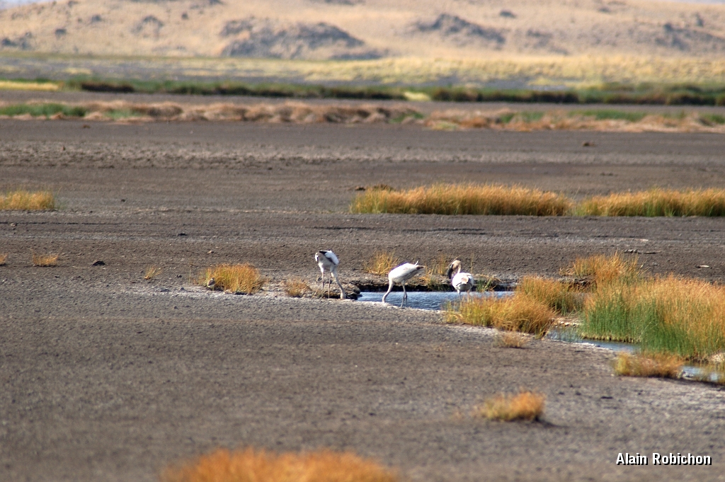 Tanzanie0048EPV0066.jpg