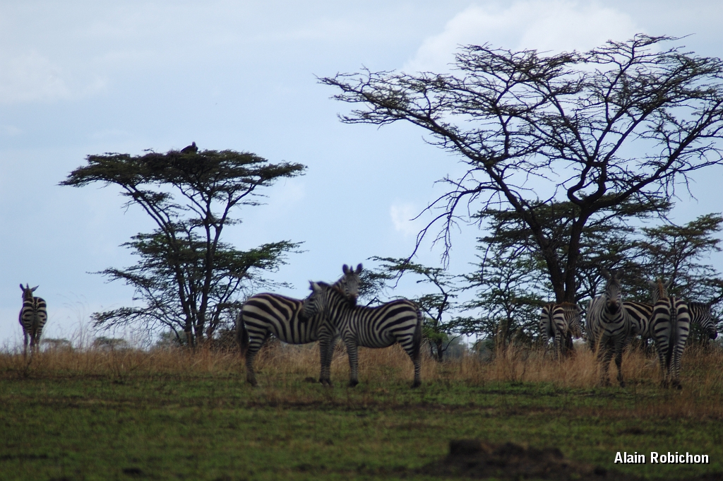 Tanzanie0062EPV0080.jpg