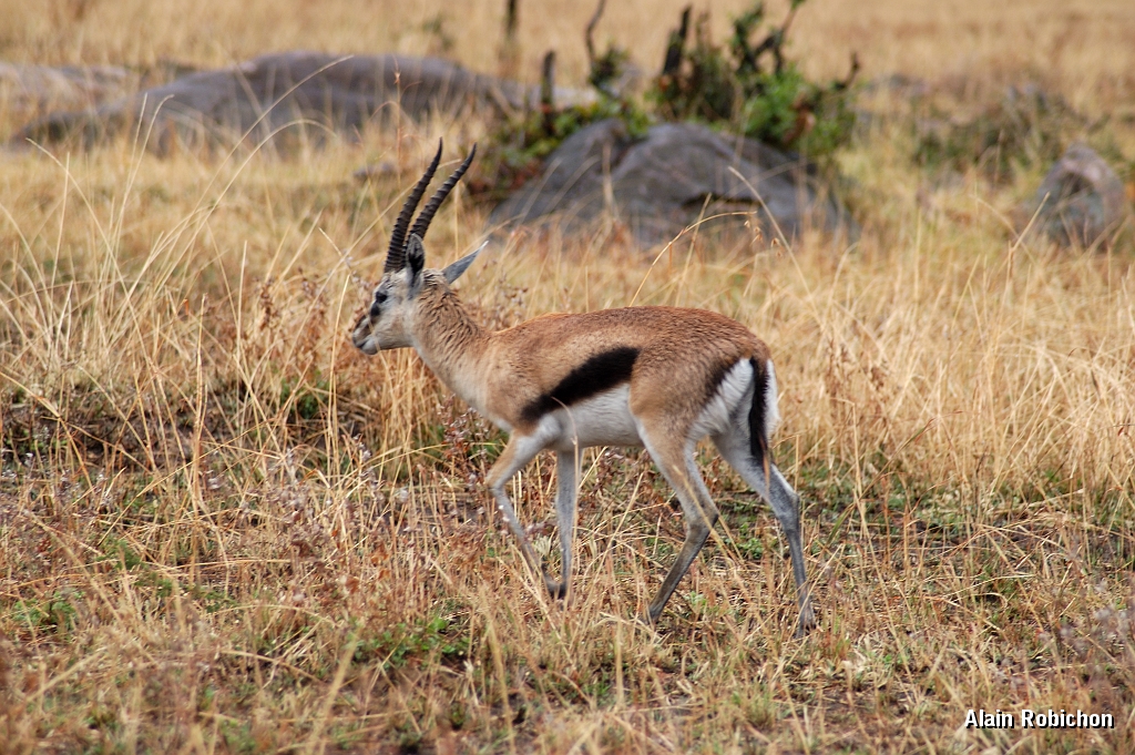 Tanzanie0086EPV0104.jpg