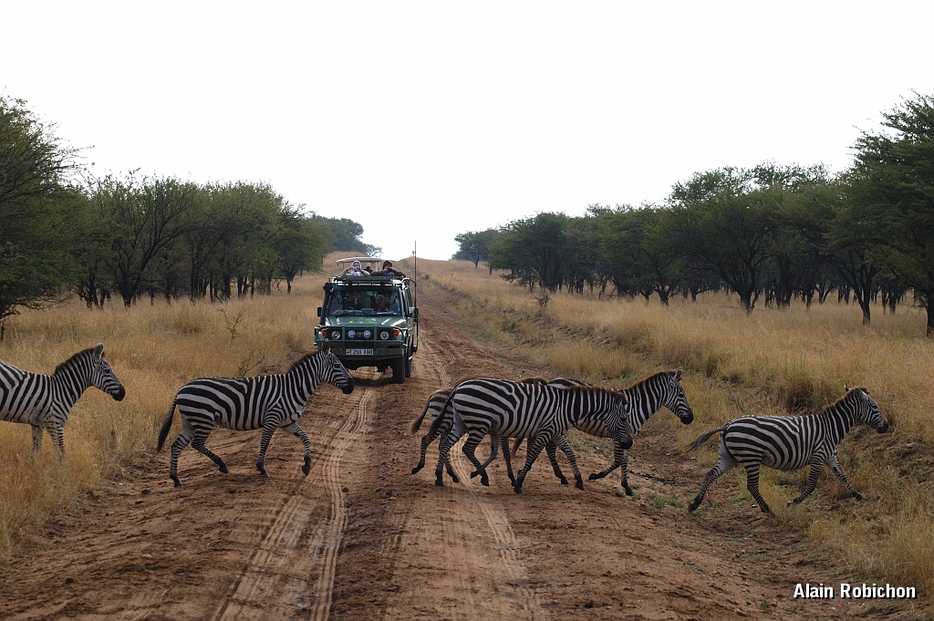Tanzanie0122EPV0142.jpg