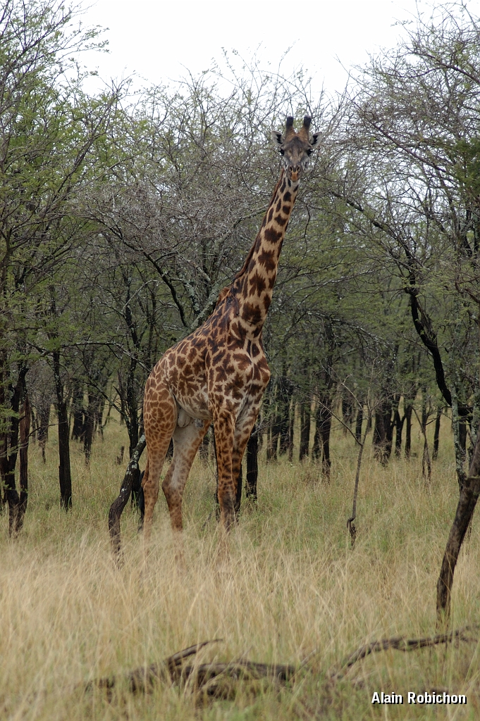 Tanzanie0142EPV0163.jpg