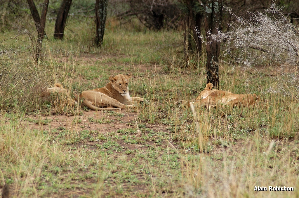 Tanzanie0148EPV0169.jpg