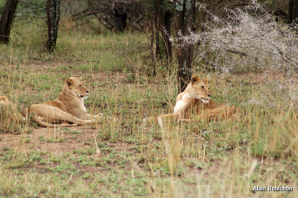 Tanzanie0151EPV0172.jpg