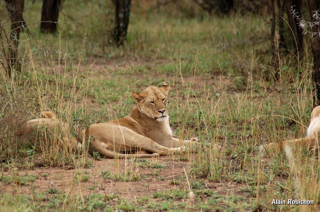 Tanzanie0152EPV0173.jpg