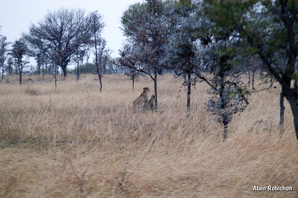 Tanzanie0212EPV0234.jpg