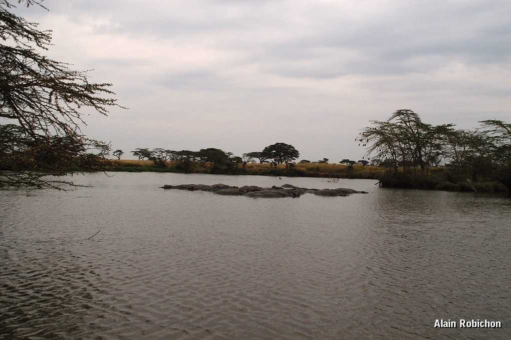 Tanzanie0235EPV0261.jpg