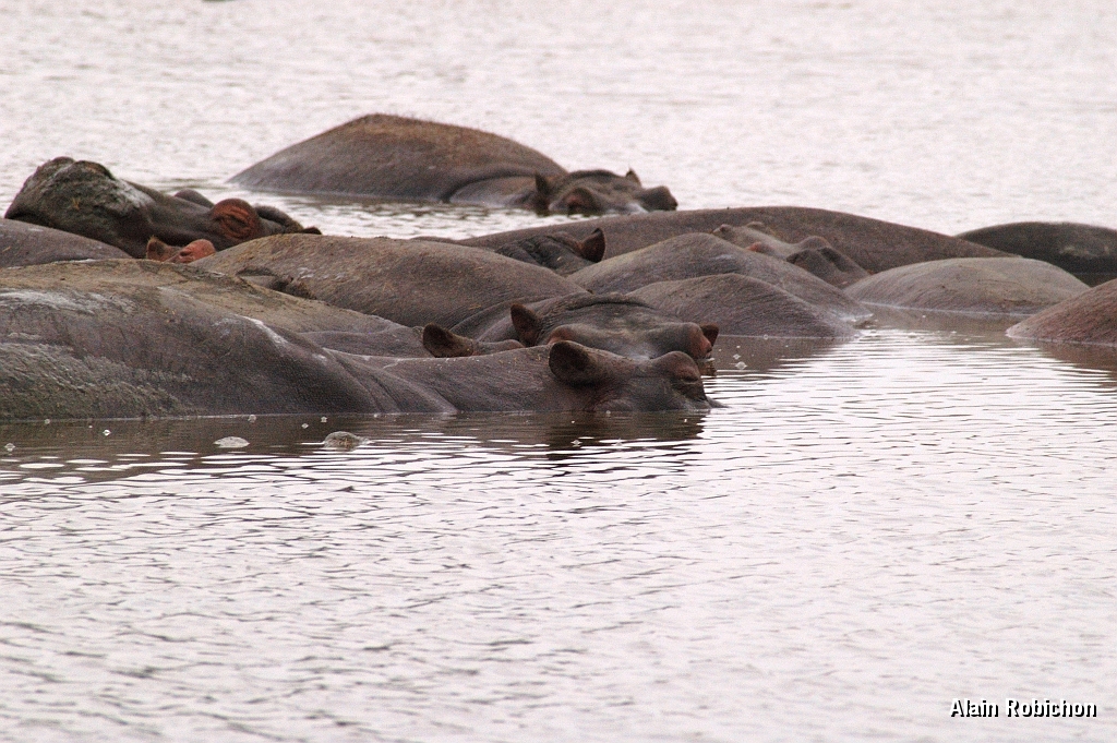 Tanzanie0236EPV0262.jpg