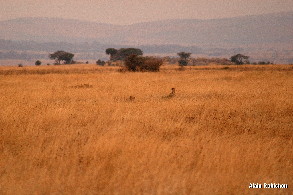 Tanzanie0241EPV0267.jpg