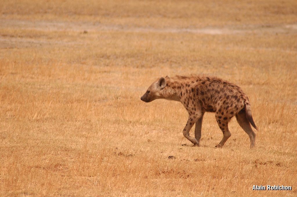 Tanzanie0267EPV0293.jpg