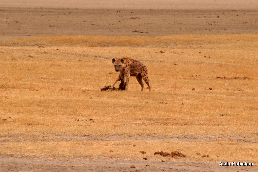 Tanzanie0271EPV0297.jpg