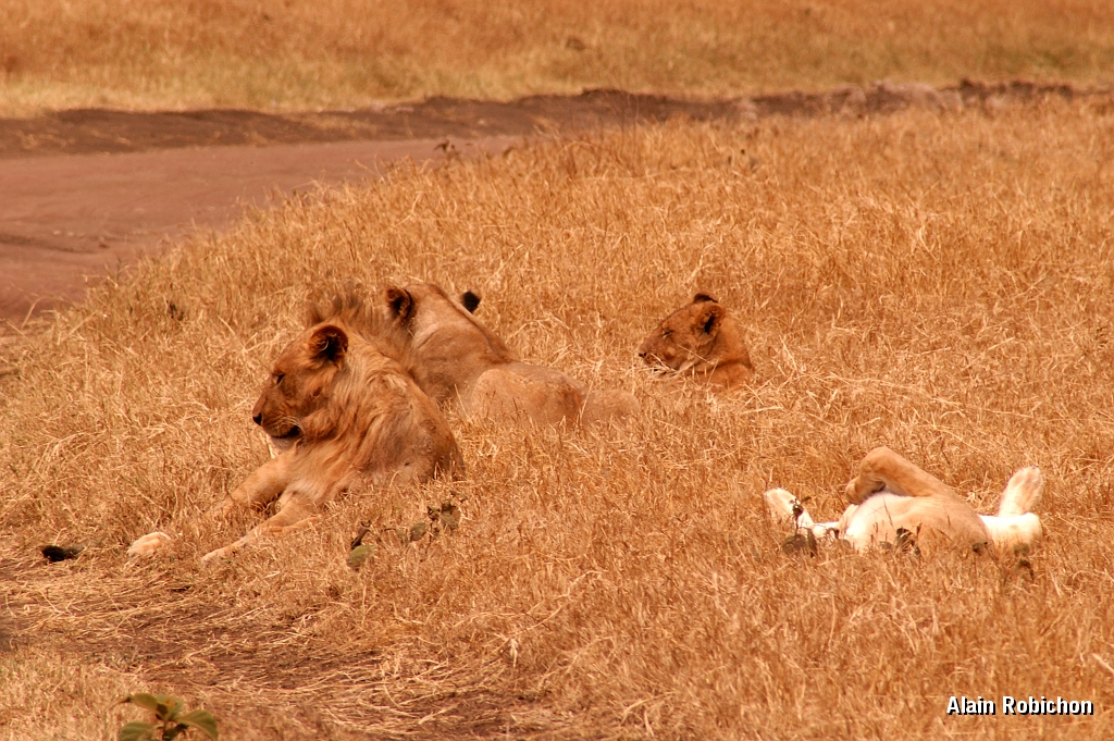 Tanzanie0279EPV0305.jpg