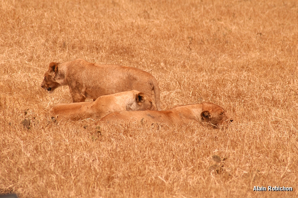 Tanzanie0283EPV0309.jpg