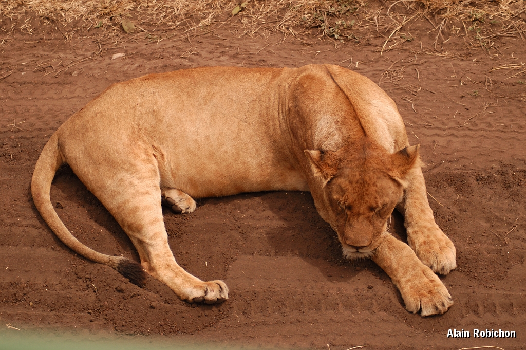 Tanzanie0290EPV0317.jpg