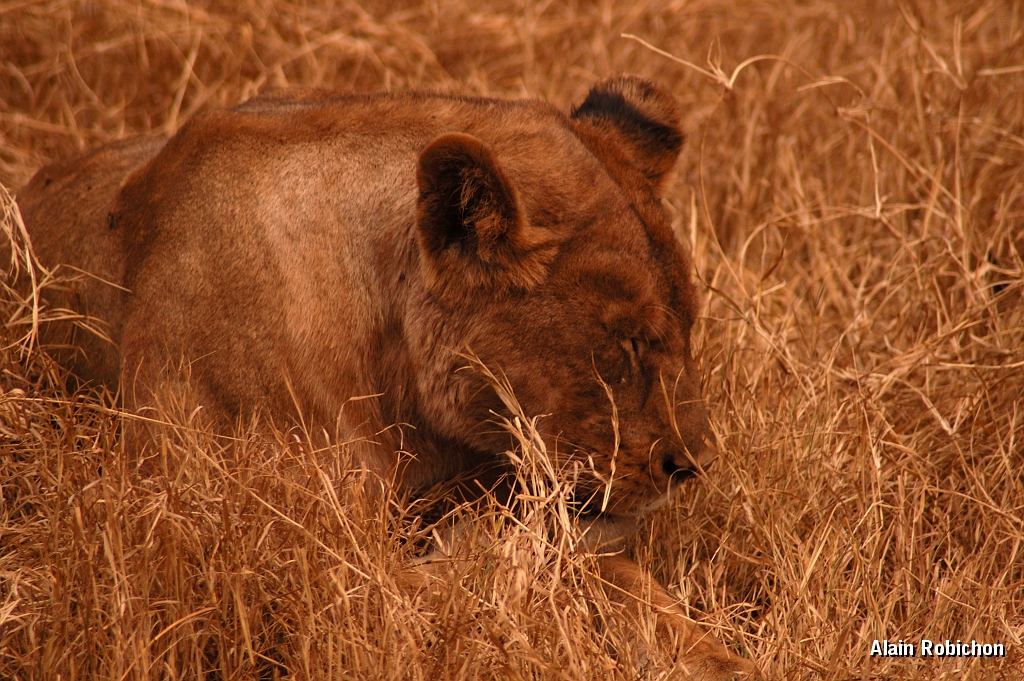 Tanzanie0291EPV0318.jpg