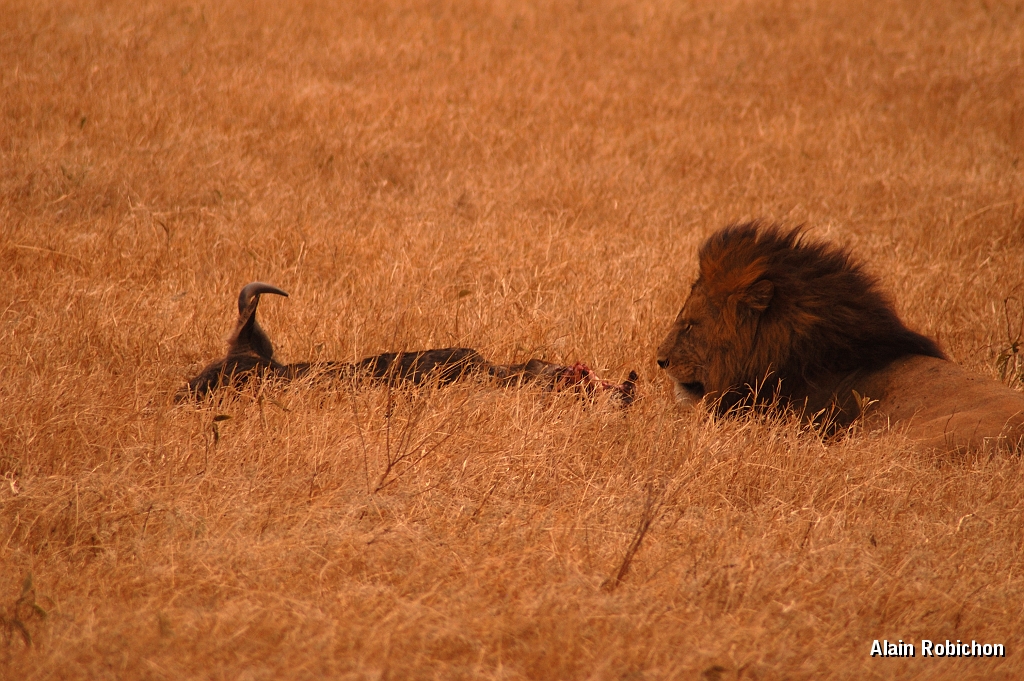 Tanzanie0293EPV0320.jpg
