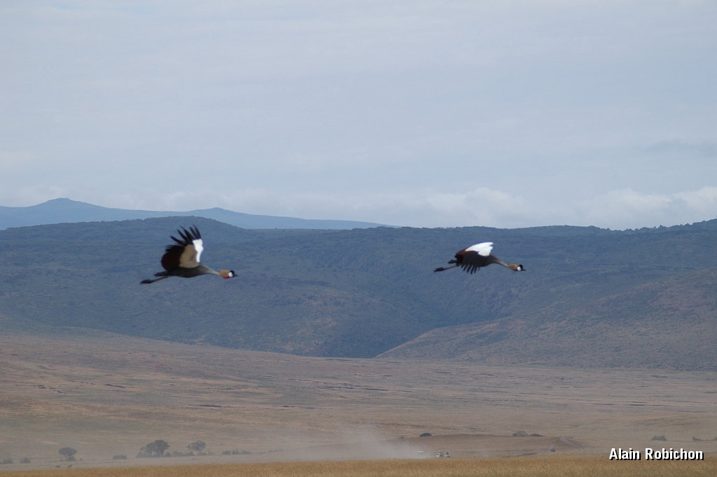Tanzanie0324EPV0351.jpg