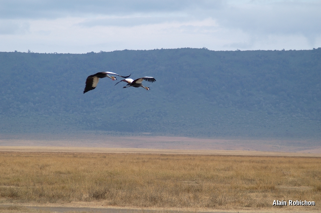 Tanzanie0325EPV0352.jpg
