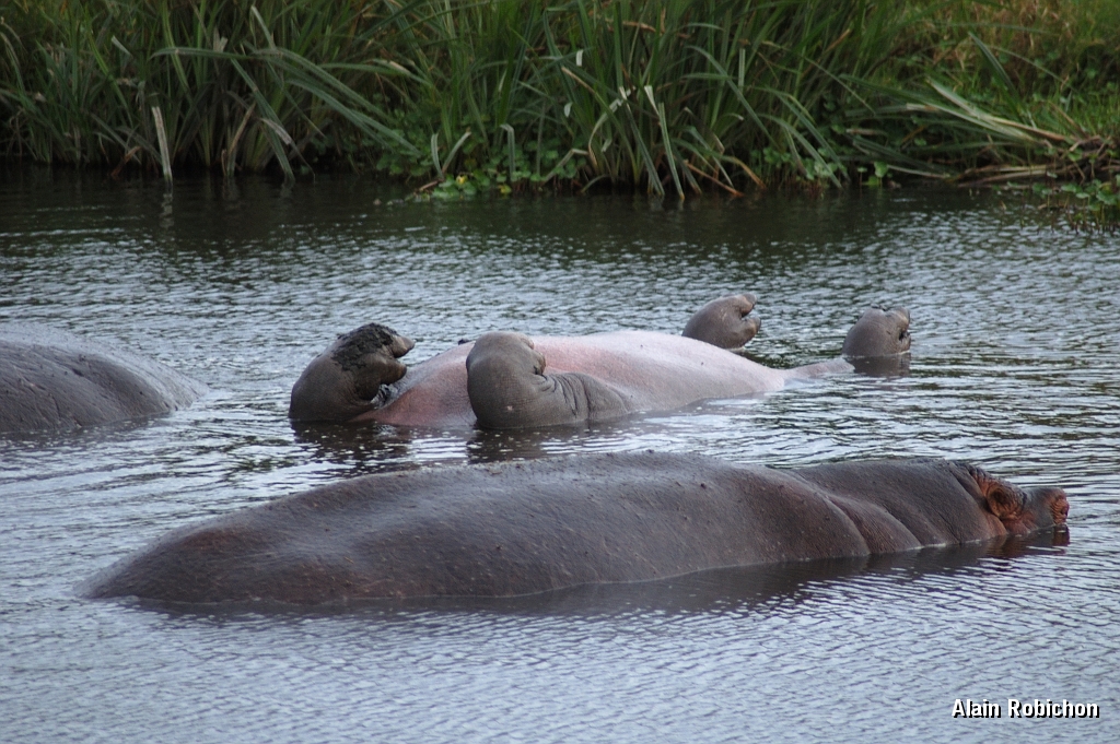 Tanzanie0330EPV0357.jpg