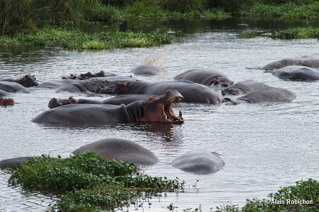 Tanzanie0332EPV0359.jpg