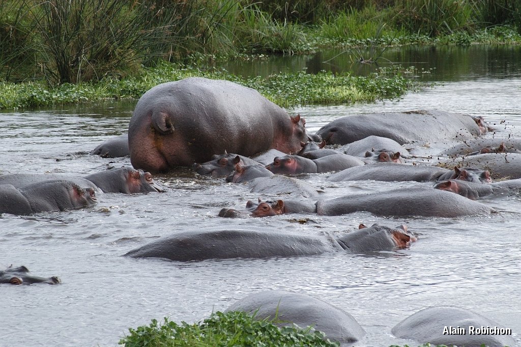 Tanzanie0335EPV0362.jpg