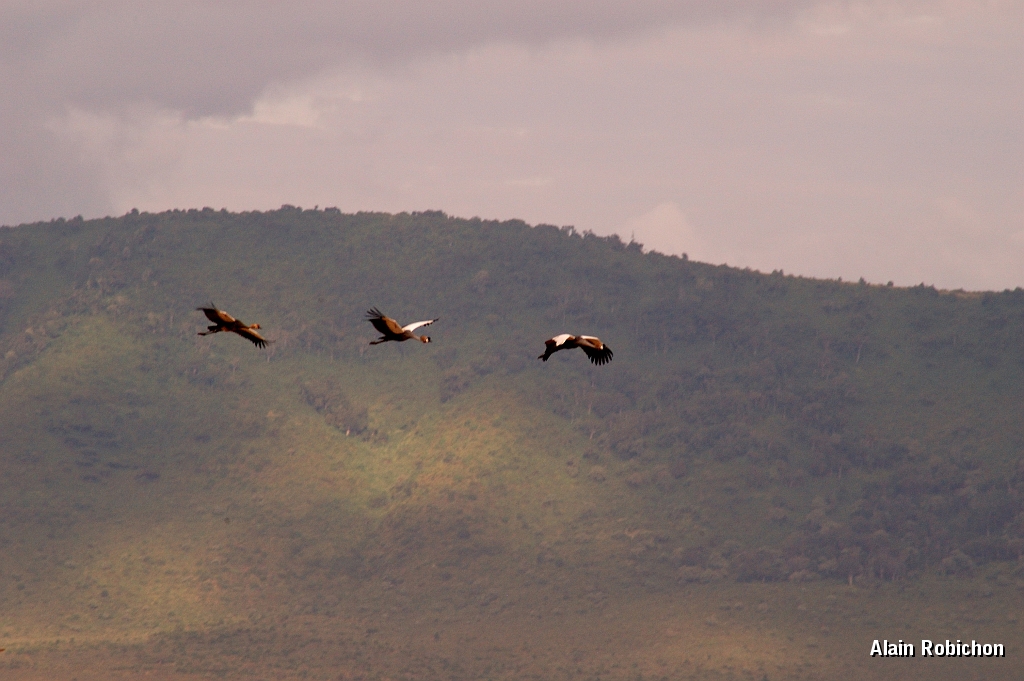 Tanzanie0340EPV0367.jpg