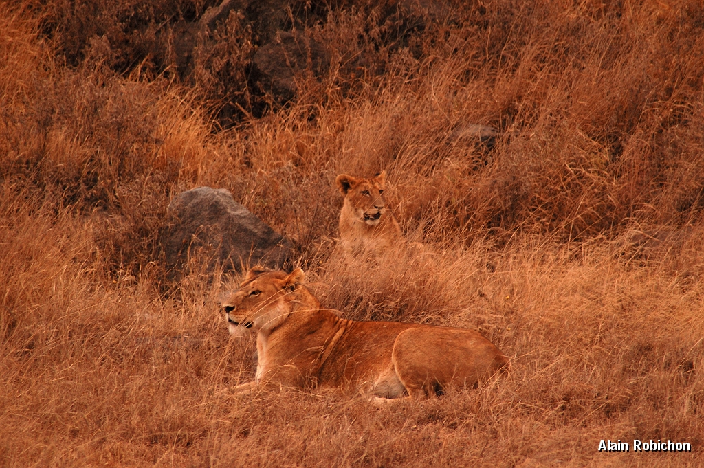 Tanzanie0349EPV0376.jpg