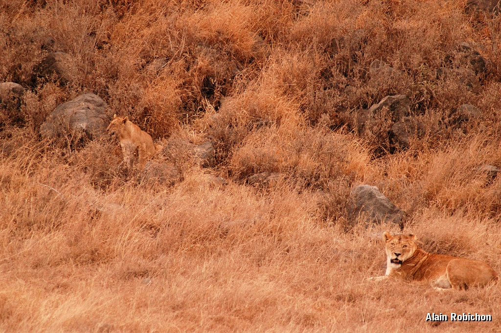 Tanzanie0354EPV0381.jpg
