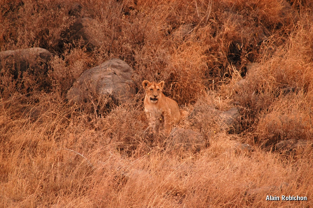 Tanzanie0355EPV0382.jpg