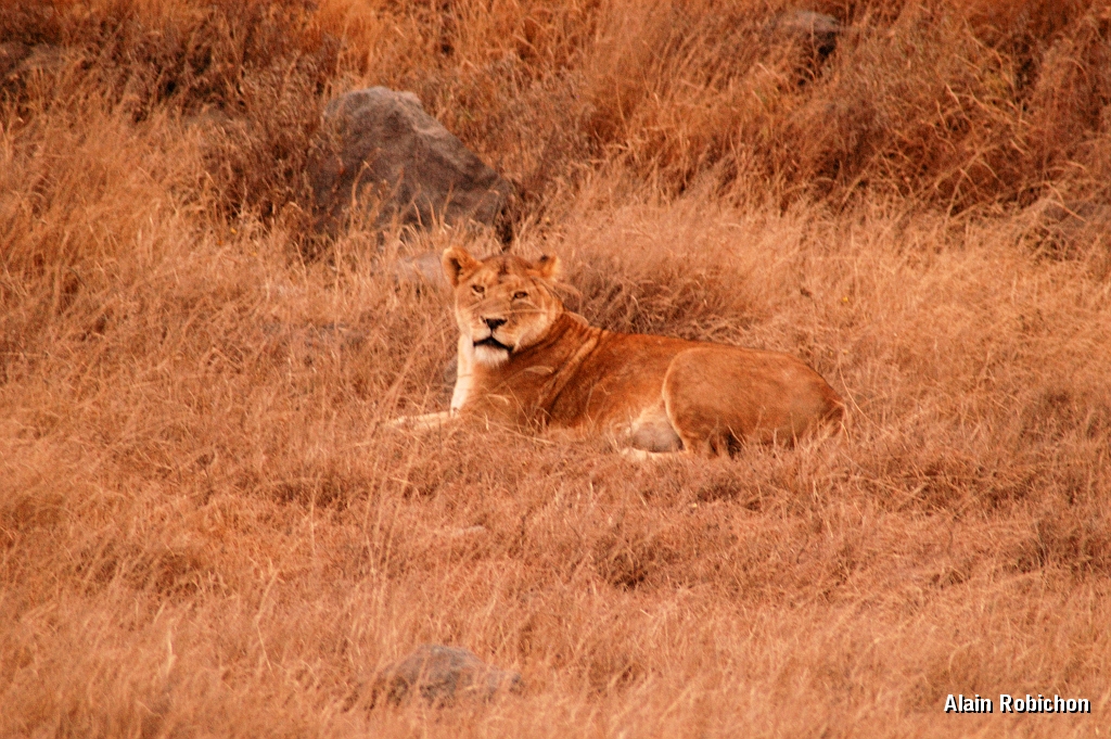 Tanzanie0356EPV0383.jpg
