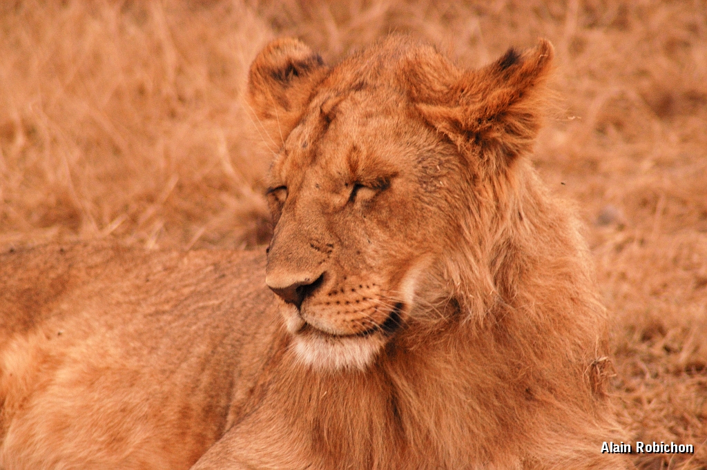 Tanzanie0357EPV0384.jpg