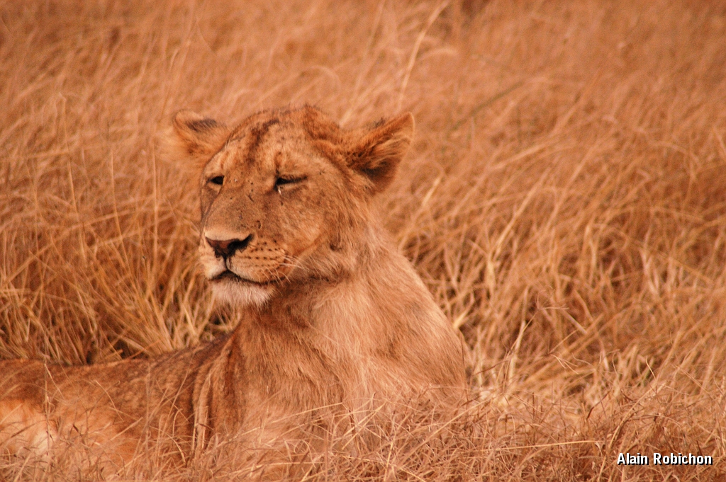 Tanzanie0362EPV0389.jpg