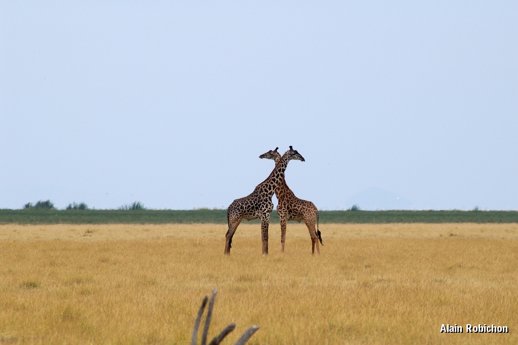 Tanzanie0392EPV0419.jpg