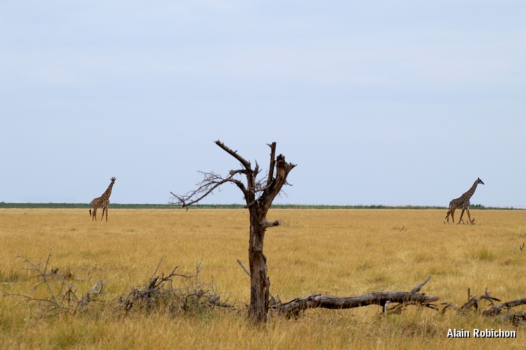 Tanzanie0394EPV0421.jpg