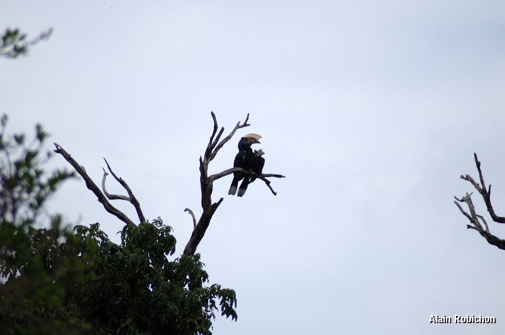 Tanzanie0415EPV0445.jpg